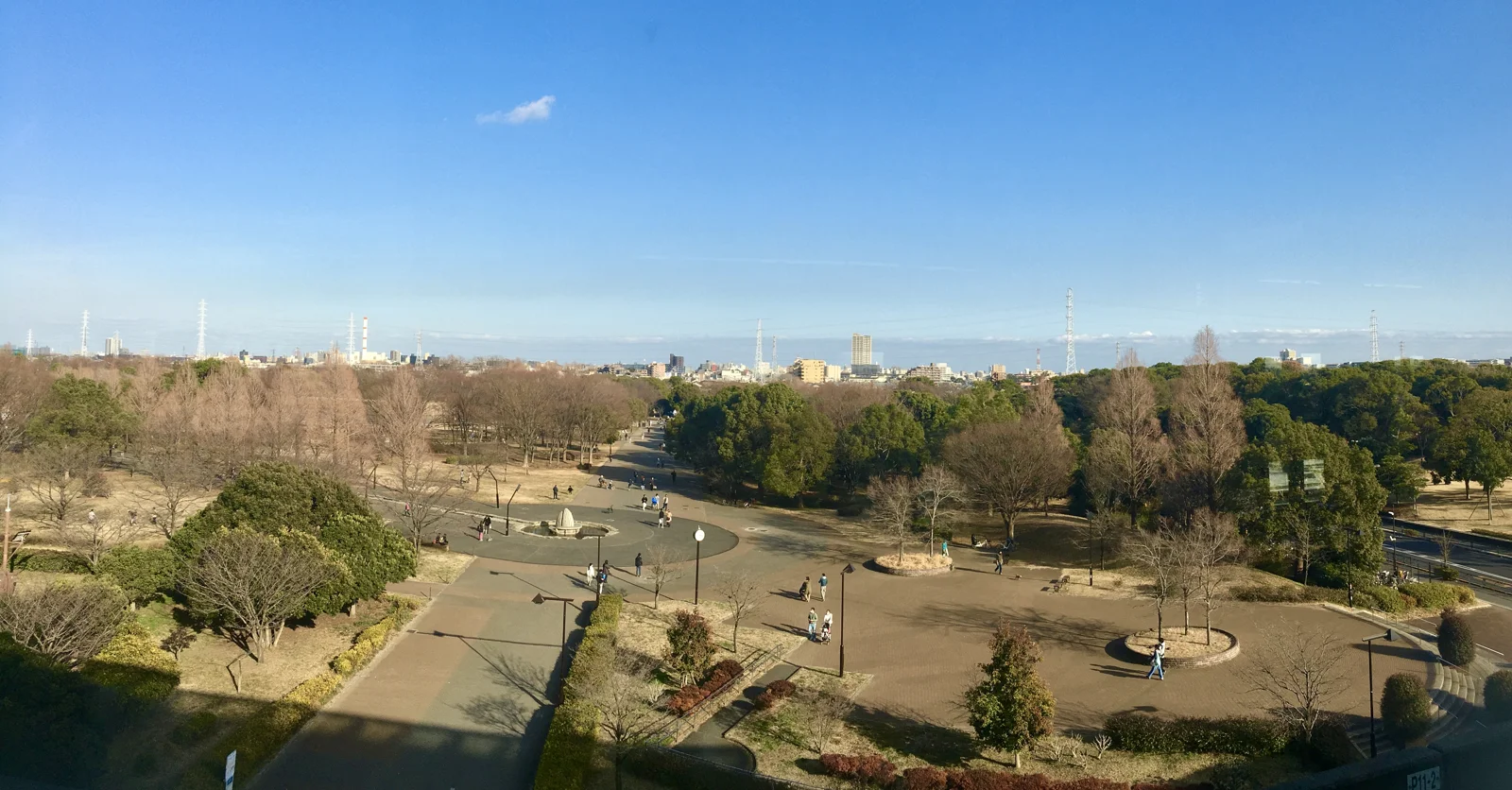 Elevated winter view over Toneri Park paths, leafless trees, lawns and distant buildings.